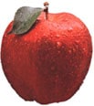 apple