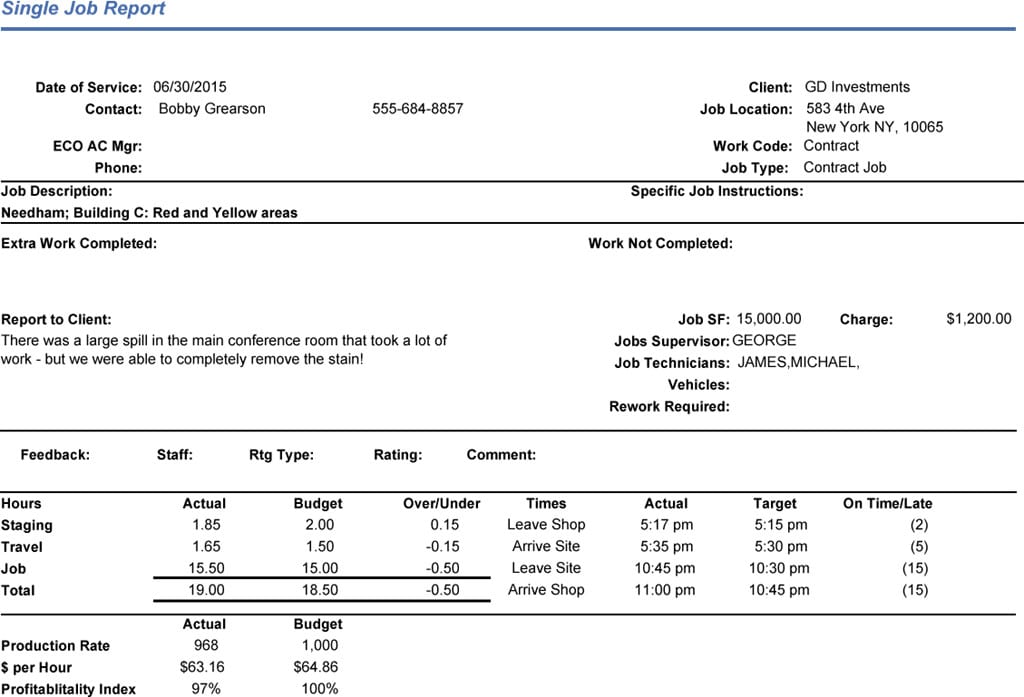 erp-single-job-report